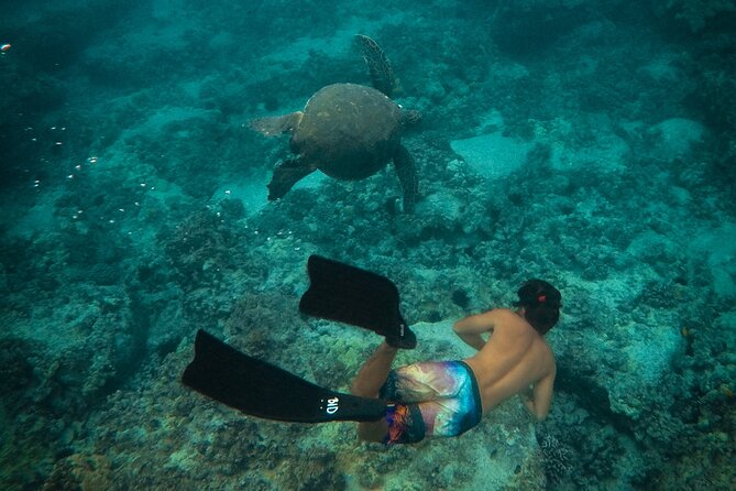 Private Waikiki Boat Charter – Create Your Own Ocean Experience - Waikiki and Honolulu Views from Your Power Catamaran