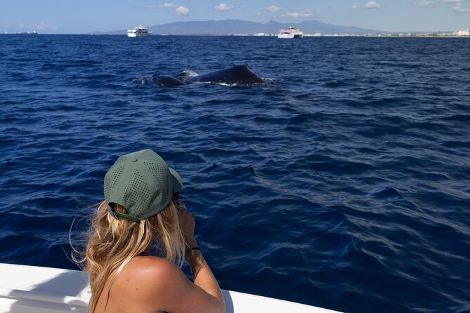 Private Whale Watching Activity: 6 passengers max - Meeting at Ala Moana: Keeping Your Day Smooth