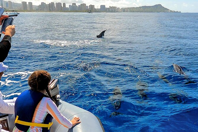 Private Whale Watching Adventure - Weather, timing, and the “realistic expectations” checklist