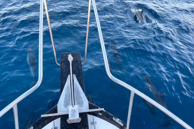 Private Whale Watching and Dolphin Excursion - What’s included on board (and what you must bring)