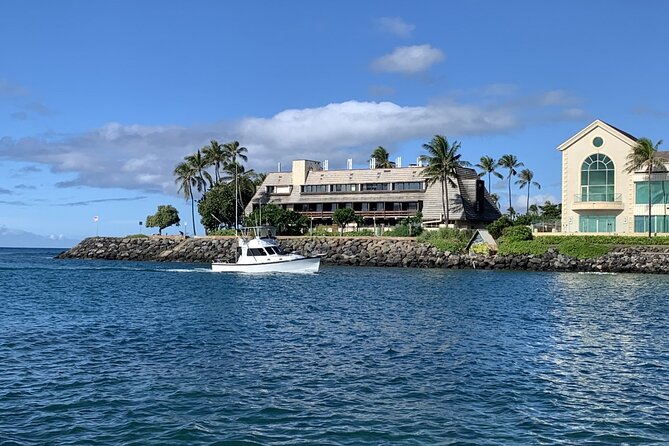 Private Whale Watching and Dolphin Excursion - Timing, weather, and the reality of wildlife days