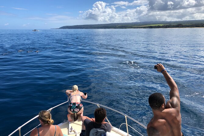 Private Whale Watching Safari from North Shore Oahu - Stops that add meaning: surf culture and Hawaiian place sense