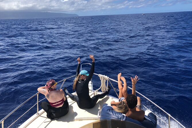 Private Whale Watching Safari from North Shore Oahu - What to expect from the wildlife hunt (and what to keep realistic)