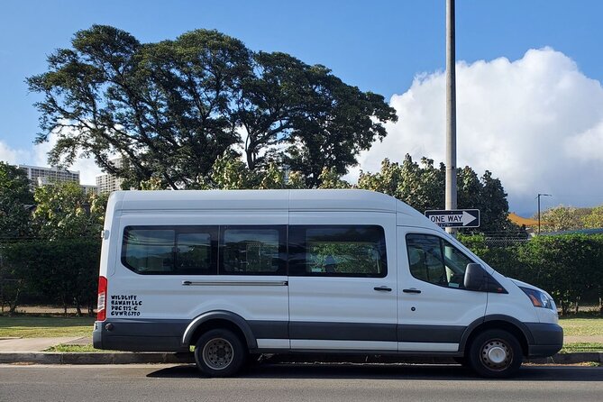 Round Trip North Shore Shuttle from Waikiki to Haleiwa Town / Haleiwa Harbor - Where You Meet: Waikiki Pickup Options That Make It Easy