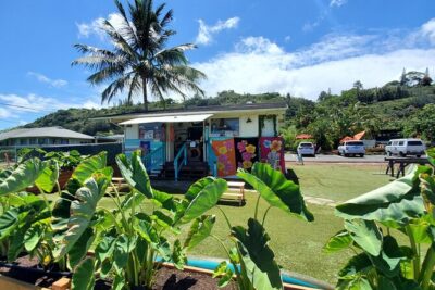 Round Trip North Shore Shuttle from Waikiki to Haleiwa Town / Haleiwa Harbor - The North Shore Route: Haleiwa, Waimea Valley, Shark’s Cove, and More