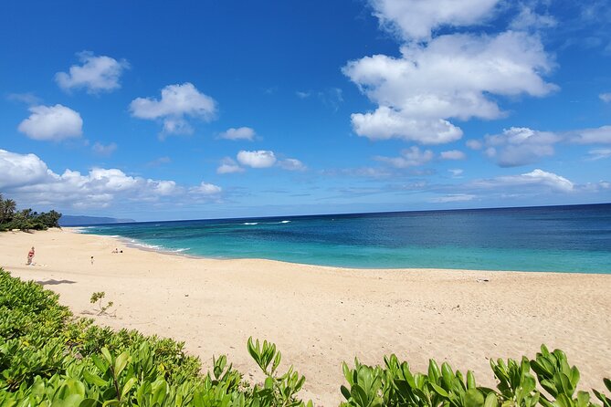 Round Trip North Shore Shuttle from Waikiki to Haleiwa Town / Haleiwa Harbor - Haleiwa Boat Harbor: Surfers, Turtles, and Coastal Watching