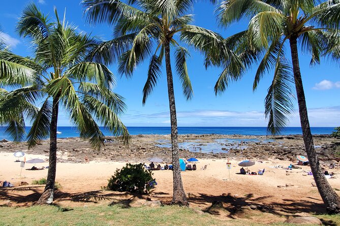 Round Trip North Shore Shuttle from Waikiki to Haleiwa Town / Haleiwa Harbor - Driver Quality and Safety: Why the On-Road Notes Feel Worth It