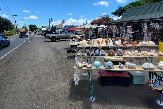Round Trip North Shore Shuttle from Waikiki to Haleiwa Town / Haleiwa Harbor - Who This Shuttle Is Best For (and Who Should Rethink It)