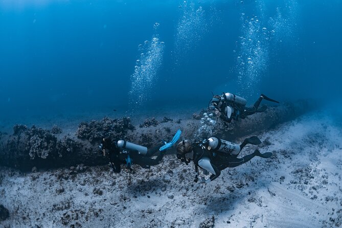 Scuba Dive at Electric Beach - Electric Beach is the kind of reef that makes shore scuba feel easy