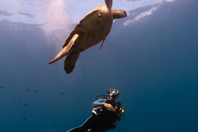 Scuba Dive at Electric Beach - Gear fitting and the safety briefing that actually helps you relax