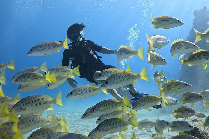 SCUBA Dive at Electric Beach with Photos -No Certification Needed - Electric Beach at Kahe Point: The Hook for First-Timers