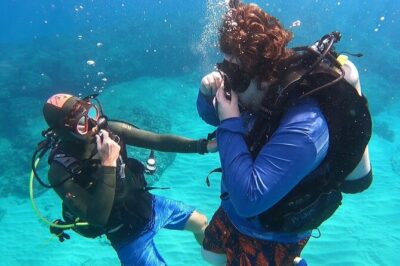 SCUBA Dive at Electric Beach with Photos -No Certification Needed - Who This Fits Best on Oahu (and Who Should Rethink)