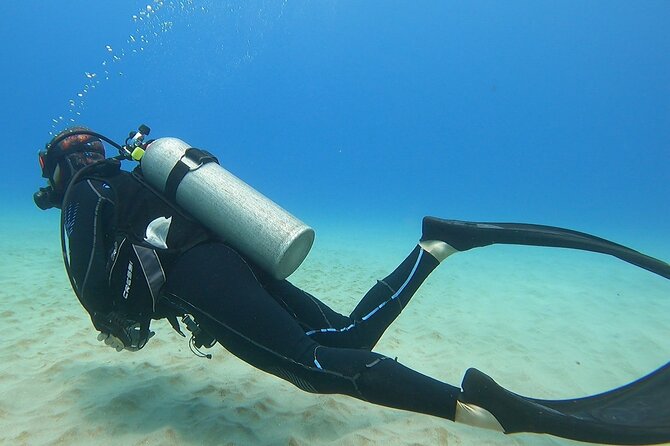 SCUBA Dive at Electric Beach with Photos -No Certification Needed - Kahe Point Reef Time: What You’re Likely to See