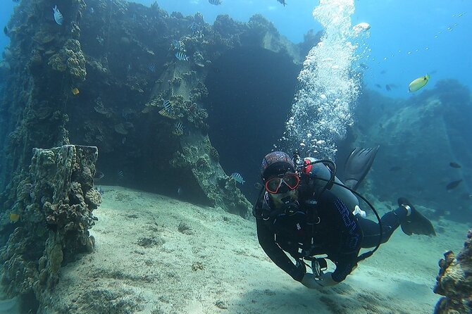 SCUBA Dive at Electric Beach with Photos -No Certification Needed - Timing and Rules That Actually Affect Your Travel Day