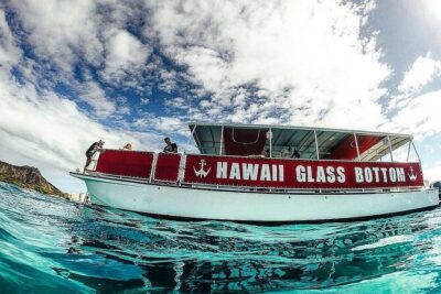 Sea Safari, Dolphins, Turtles and Waikiki Cruise - Waikiki Coast Cruise: Why the Views Matter Even If Wildlife Is Quiet