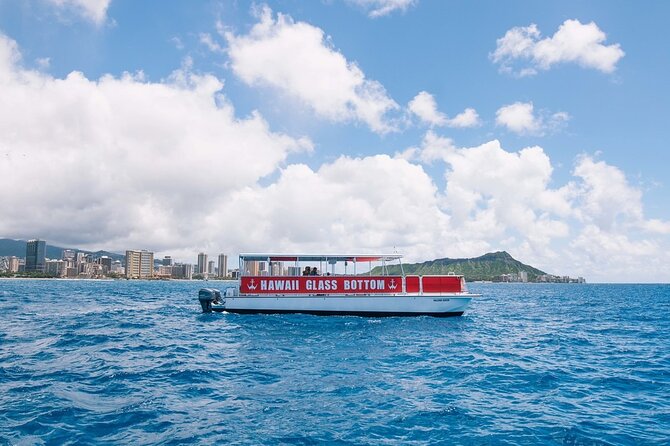 Sea Safari, Dolphins, Turtles and Waikiki Cruise - Who This Tour Fits Best (and Who Should Rethink It)