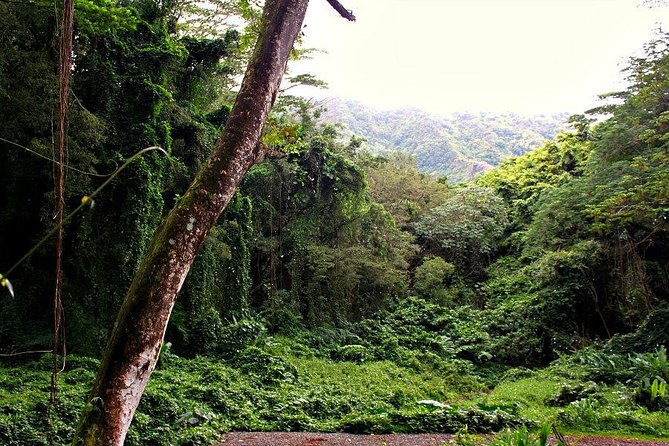 Self Guided Hike Trail to Nature Walk & Waterfall - Timing and the two phases at the falls