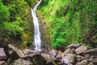 Self Guided Hike Trail to Nature Walk & Waterfall - Manoa Falls: what you’ll see, why Rainbow Valley matters