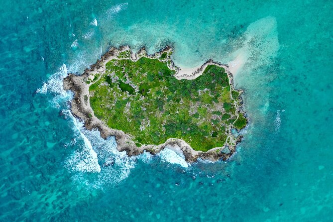 Self-Guided Kayaking Tour in Kailua Bay and Popoia Island - Price and value: Why $82 makes sense for a self-guided day