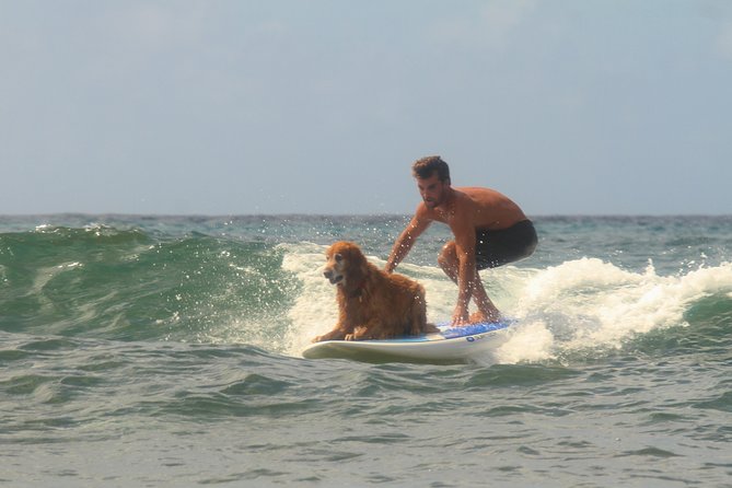 Semi-Private Surf Lesson - Getting in the water: catching waves as you improve