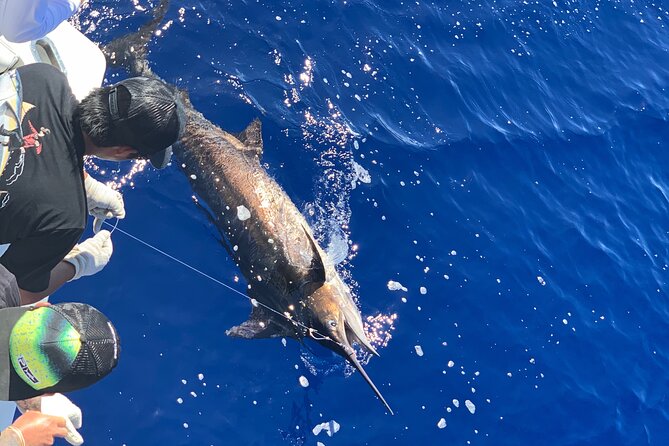 Shared Deep Sea Full-Day Fishing Charter in Hawaiian Waters - A 5:00 am Start Makes the Day Work