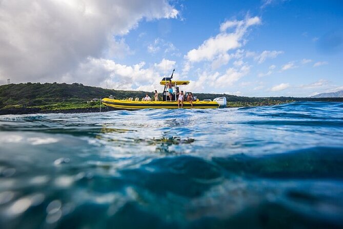 Shark-Dive Tour on Oahu's North Shore - What’s included for $135: gear, time, and what to plan around