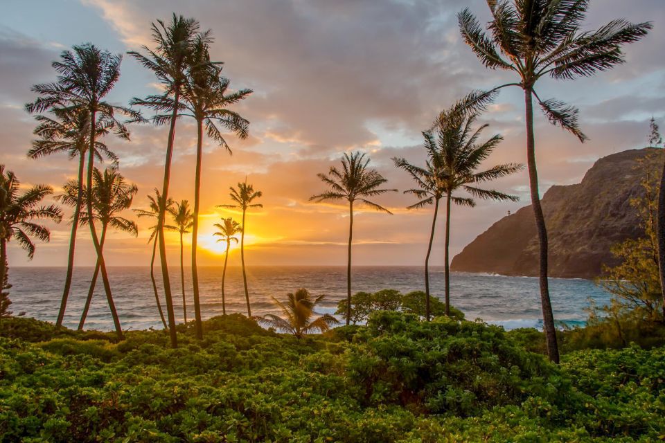 Small Group 3 Hour Honolulu Sunrise Tour with Malasadas - Makapuu Lookout and Halona Blowhole: Photo Stops That Respect Your Time