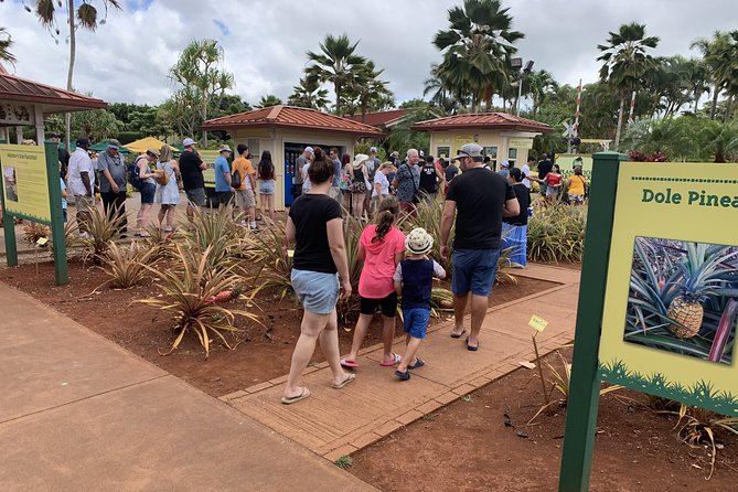 Small Group-Oahu Tour, Dole Plantation, Northshore, Sunset Beach - Polynesian Cultural Center: culture time without turning it into a second vacation