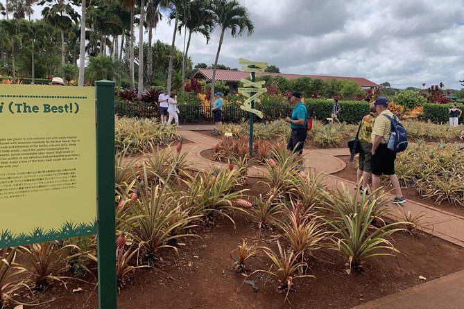 Small Group-Oahu Tour, Dole Plantation, Northshore, Sunset Beach - Punchbowl (Puowaina): history with a quiet, steady weight