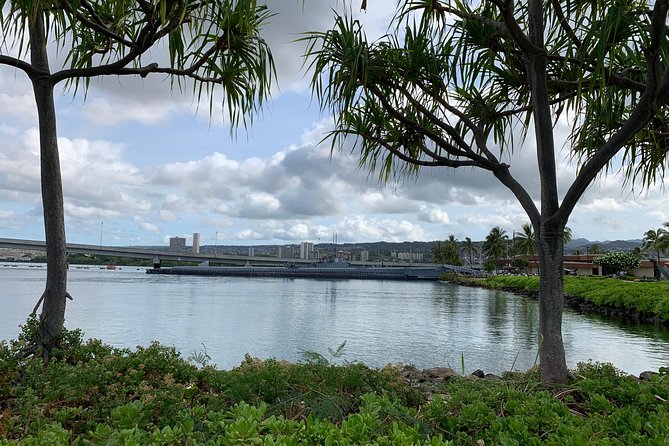 Small Group-Oahu Tour, Dole Plantation, Northshore, Sunset Beach - Waimea Bay and Haleiwa Beach Park: the surf scale shock