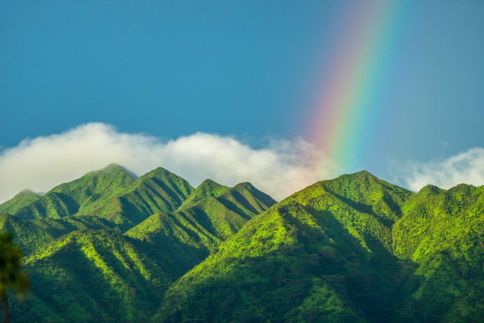 Small Group Tour of Honolulu Scenic Vistas with Sunset - Makapuʻu Lookout: Koʻolau Mountains in One Clean Shot