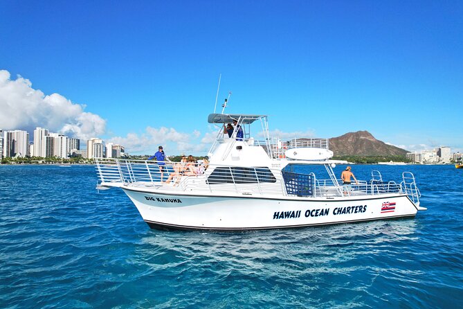 Small group Turtle Snorkel (16 people max): Sightings Guaranteed - A Small-Group Boat Ride Built for Sea Turtle Snorkeling