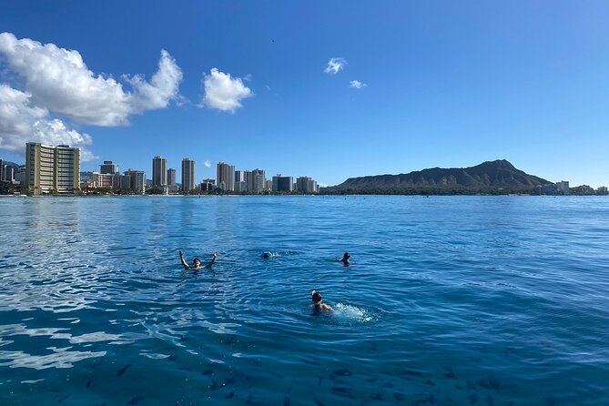 Small group Turtle Snorkel (16 people max): Sightings Guaranteed - Onboard Comfort: Drinks, Shade, and When Weather Gets Messy
