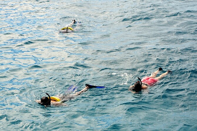 Small group Turtle Snorkel (16 people max): Sightings Guaranteed - Price and Value at $85 for Two Hours on Oahu