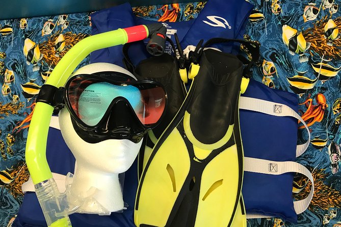 Snorkel Gears near Hanauma Bay - If Hanauma Bay is closed or you change plans