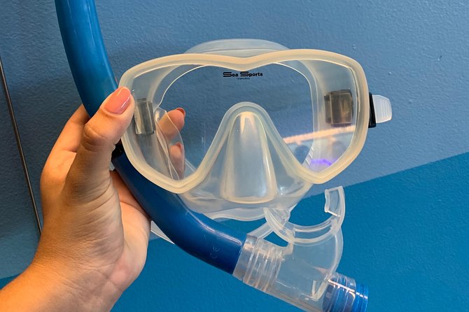 Snorkel Gears near Hanauma Bay - Pricing and value: is $23.99 actually a bargain?
