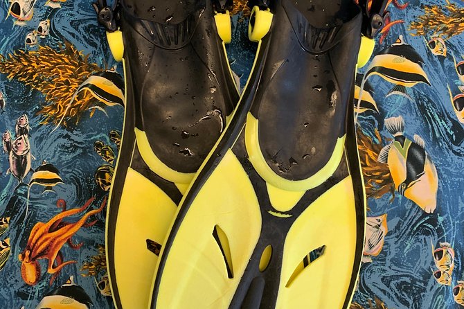 Snorkel Gears near Hanauma Bay - Logistics to get right before you arrive