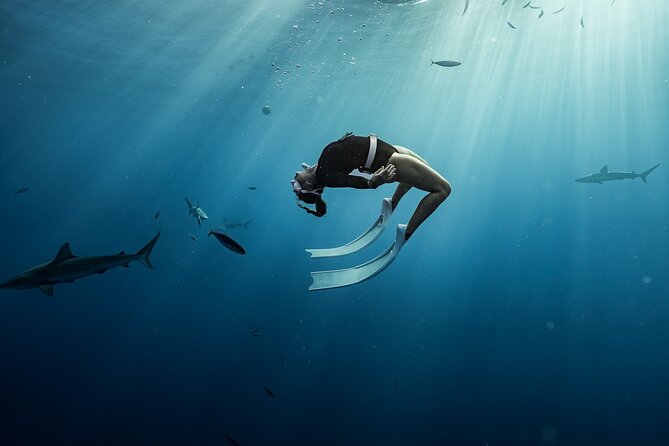Snorkel with sharks on the North Shore of Oahu - Price and value: what $193 buys you
