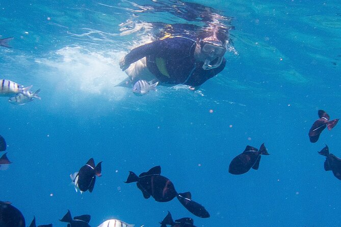 Snorkeling Adventure at Turtle Canyon - The Boat Ride: Restroom Access and the Way the Crew Runs It