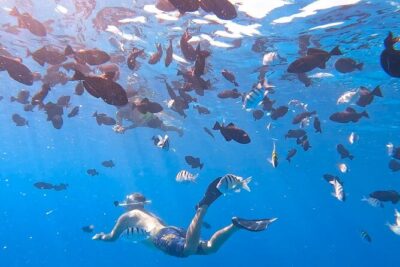 Snorkeling Adventure at Turtle Canyon - Getting There: Holomoana St Check-In and a Smooth Start
