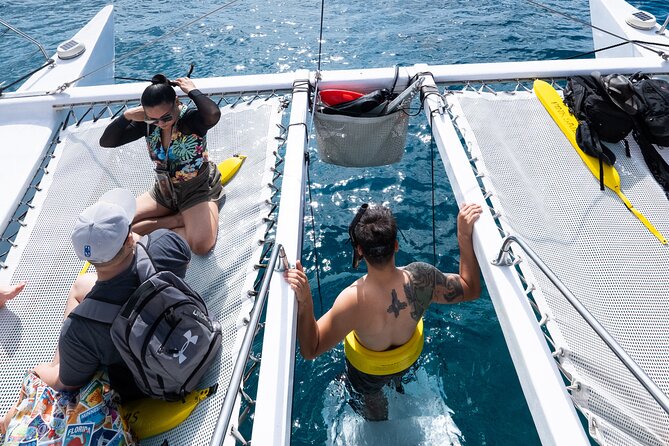 Snorkeling Adventure at Turtle Canyon - What to Bring: BYOB, Reef-Safe Sunscreen, and the No-Glass Rule