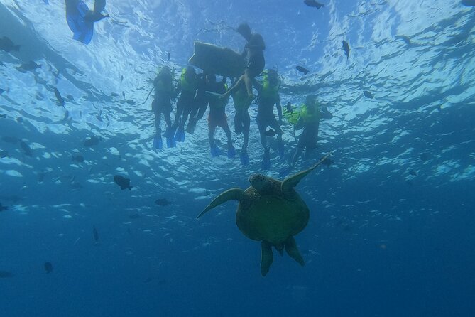 Snorkeling with Turtle/Water Scooter/Paddleboard Adventures Oahu - Starting point at Ala Moana Pier: getting set up without drama