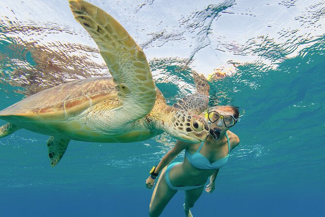 Snorkeling with Turtle/Water Scooter/Paddleboard Adventures Oahu - Price and value: does $129 make sense for what you get?
