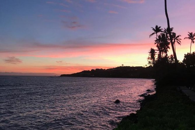 South Shore Aloha Friendly Tour - Comfort, pacing, and who this tour suits best