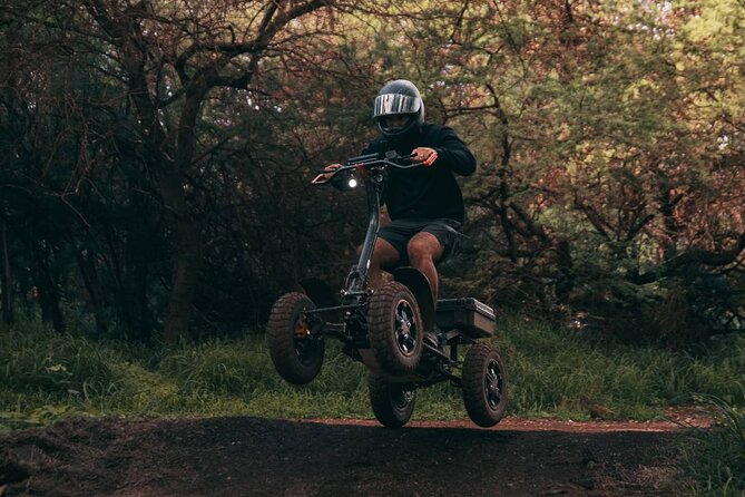 Stand Up ATV/Quad Jungle Trail Adventure - Price and value: $164.96 for a small-group electric thrill