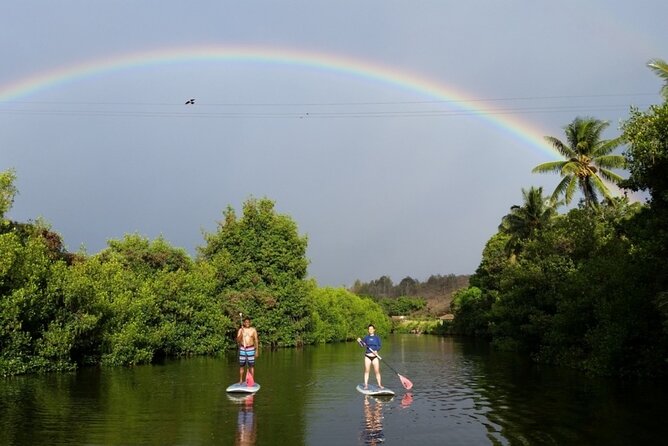 Stand Up Paddle Nature and Turtle tour-Guaranteed to see turtles - Key highlights to know before you go