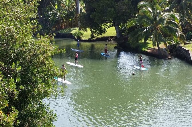 Stand Up Paddle Nature and Turtle tour-Guaranteed to see turtles - Guaranteed turtles: what that means for your expectations