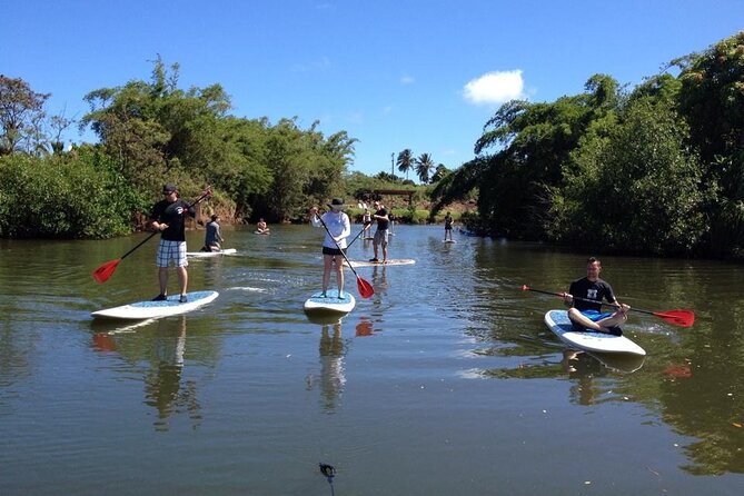 Stand Up Paddle Nature and Turtle tour-Guaranteed to see turtles - Logistics that can make or break your day