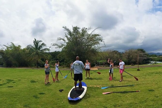 Stand Up Paddle Nature and Turtle tour-Guaranteed to see turtles - Who should book this turtle paddle?