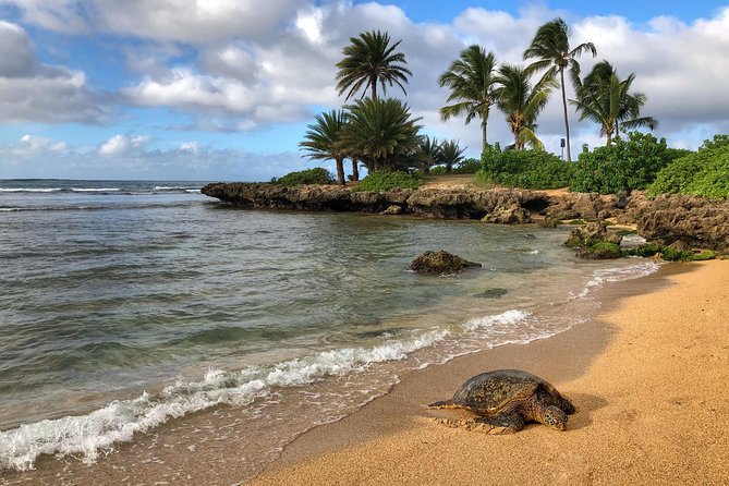 Sunrise Plus Island Tour - Price and value: is $165 worth it?